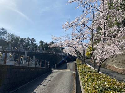 亀岡市のメモリアルパーク亀山霊苑