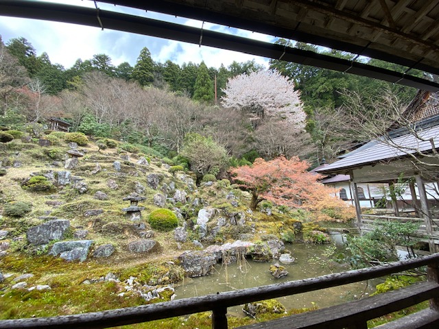 常照皇寺