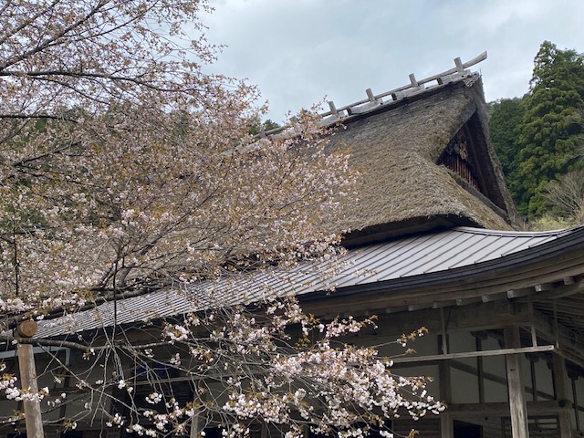 常照皇寺