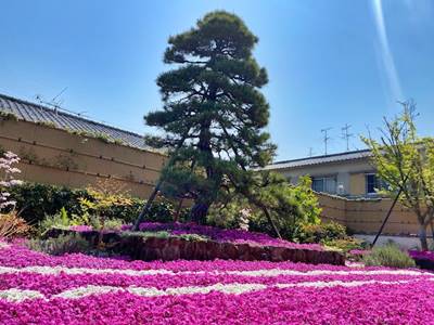 速成寺の庭園樹木葬