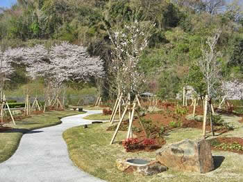 五色台メモリアルパークの永代供養樹木葬