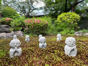 京都でで永代供養の樹木葬-東福寺龍眠庵