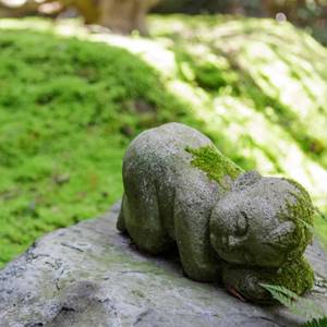 京都で水子供養